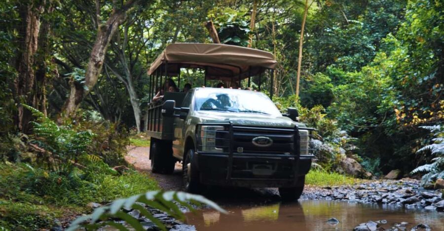 Oahu: Kualoa Open Air Jungle Expedition Tour - What Makes the Kualoa Jungle Expedition Stand Out