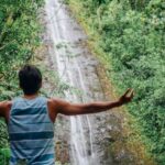 Oahu: Manoa Falls Waterfall Hike with Lunch and Transfers - Starting from Waikiki to the Manoa Valley Rainforest