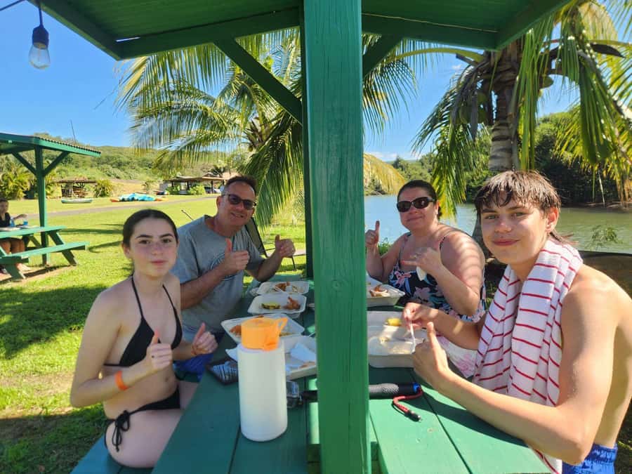 Oahu: North Shore Beaches, Turtles, and Dole Plantation Tour - Snorkeling with Turtles at Turtle Beach