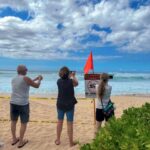 Oahu: North Shore Circle Island Small-Group Tour - Starting the Day with Hassle-Free Pickup in Waikiki