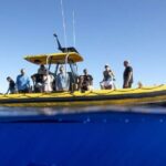 Oahu: North Shore Marine Life Tour from Haleiwa - Starting Point and Logistics at Haleiwa