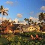 Oahu: Private custom tour with a local guide - How the Private Tour Is Tailored to Your Interests