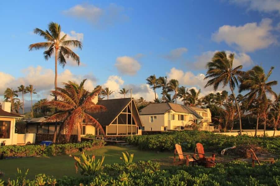 Oahu: Private custom tour with a local guide - How the Private Tour Is Tailored to Your Interests