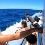 Oahu: Private Whale Watching Adventure - How the Private Tour Keeps You Off the Beaten Path