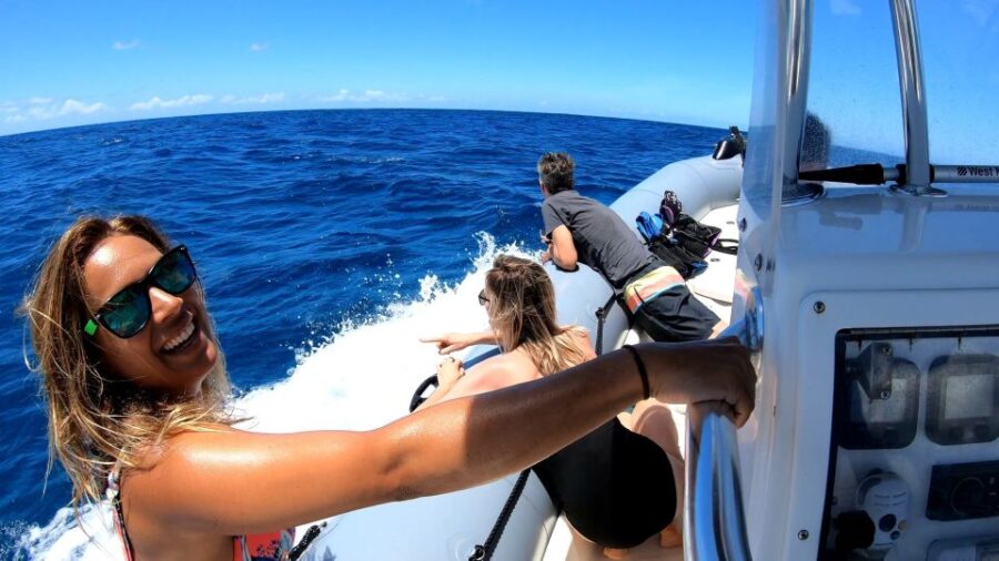 Oahu: Private Whale Watching Adventure - How the Private Tour Keeps You Off the Beaten Path