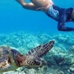 Oahu: Snorkel Adventure in Marine Sanctuary - Starting Point and Booking Flexibility in Hawaii