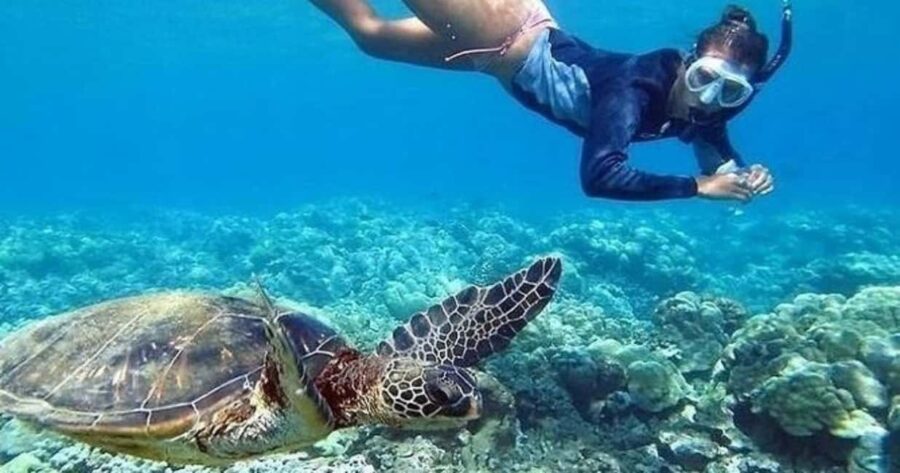 Oahu: Snorkel Adventure in Marine Sanctuary - Starting Point and Booking Flexibility in Hawaii