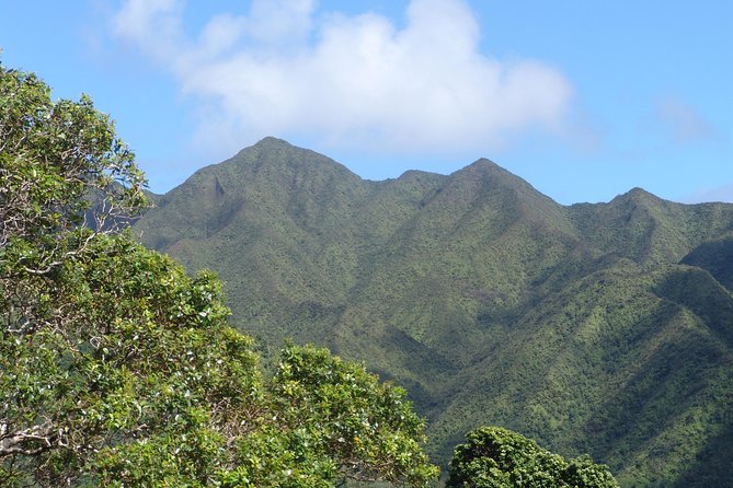 Oahu Volcanic Rainforest Hiking Adventure - The Expertise of the Guides: Knowledgeable and Passionate
