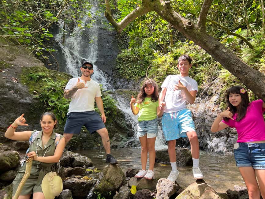 Oahu: Waterfall Hike via Scenic South Shore Drive - Birdwatching and Wildlife Encounters
