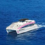 Oahu: Whale Watching Catamaran Tour near Waikiki - Convenient Departure from Waikikis Prime Spot