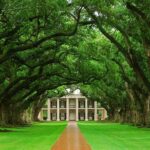 Oak Alley Plantation and Swamp Boat Tour from New Orleans - Logistics: Pickup, Transportation, and Group Size