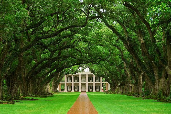 Oak Alley Plantation and Swamp Boat Tour from New Orleans - Logistics: Pickup, Transportation, and Group Size