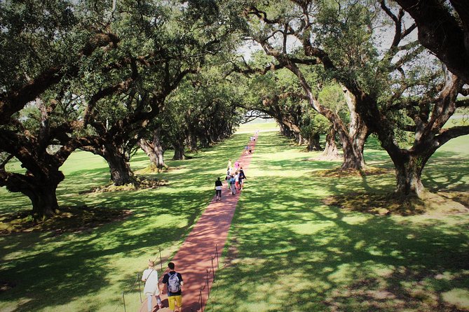 Oak Alley Plantation Tour with Transportation - Exploring Oak Alleys Famous Oak Tunnel and Historic Entrance