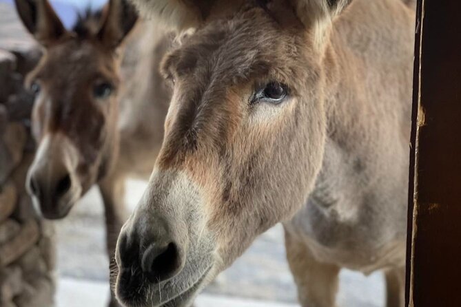 Oatman  Old Western Town RT66 Museum Black Mountain Scenic Drive - Enjoying the Scenic Drive along Black Mountain