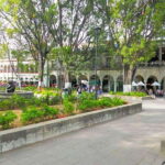 Oaxaca : City Tour - Exploring the Regional Museum of Oaxaca