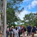 Oaxaca: Discover the secrets of Monte Albán - The Guide: Edgar’s Expertise and Storytelling