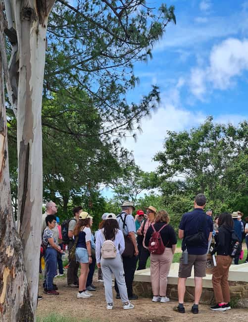 Oaxaca: Discover the secrets of Monte Albán - The Guide: Edgar’s Expertise and Storytelling