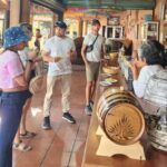 Oaxaca: El Tule, Mitla, and Hierve el Agua Tour with Mezcal - Exploring the Ancient Ruins of Mitla