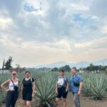 Oaxaca: Hierve el Agua & Mezcal Distillery Small-Group Tour - The Stop at a Traditional Bakery for Fresh Bread Tasting