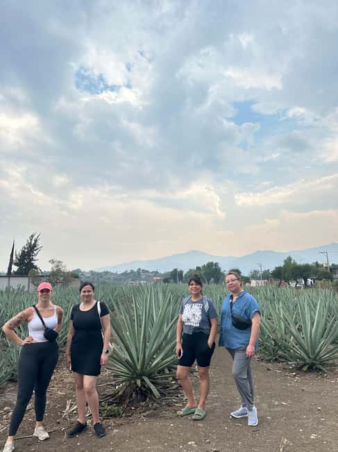Oaxaca: Hierve el Agua & Mezcal Distillery Small-Group Tour - The Stop at a Traditional Bakery for Fresh Bread Tasting