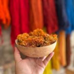 Oaxaca Hierve el Agua, Mitla, Árbol del Tule & Mezcal All-Inclusive - The Tour Begins in Oaxaca City and Headed Toward Hierve el Agua