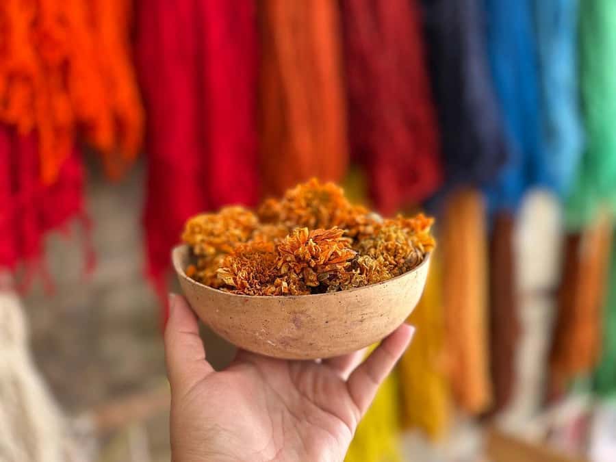 Oaxaca Hierve el Agua, Mitla, Árbol del Tule & Mezcal All-Inclusive - The Tour Begins in Oaxaca City and Headed Toward Hierve el Agua