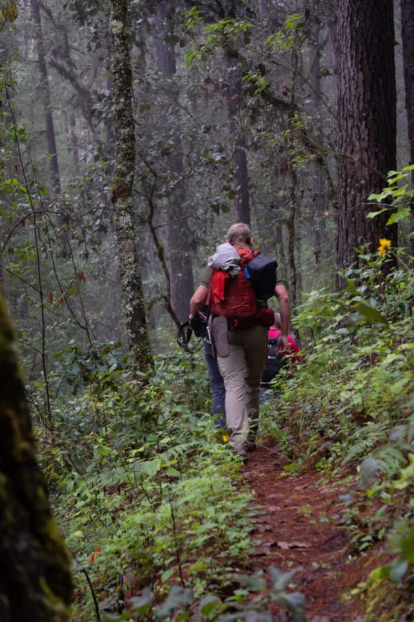 Oaxaca: Hiking Tour In the Sierra Norte With Lunch - Exploring the Historic Camino Real Trail