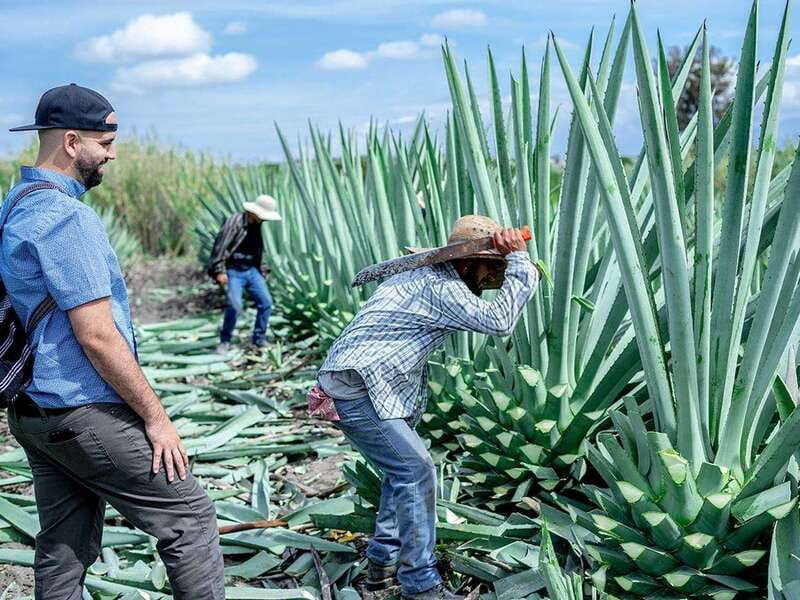 Oaxaca: Mezcal Distillery Tour with Tastings - Origins of Santiago Matatlán, the "World Capital of Mezcal"