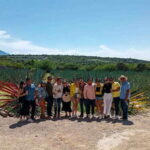 Oaxaca- Mezcal Voices - Visiting 4 Mezcal Palenques and Their Unique Charms