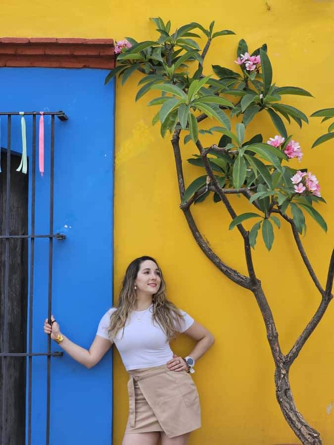 Oaxaca: Photo Shoot by a Global Travel Content Creator - Exploring Oaxaca’s Historic Aqueduct and Architectural Gems