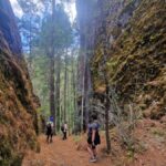 Oaxaca: Pueblos Mancomunados Hiking Tour - Starting at Oaxaca: Scenic Drive to Cuajimoloyas