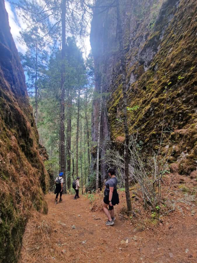 Oaxaca: Pueblos Mancomunados Hiking Tour - Starting at Oaxaca: Scenic Drive to Cuajimoloyas