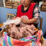 Oaxaca: San Martín Tilcajete, Jalieza & Ocotlán Crafts Route - Exploring San Martín Tilcajete and Its Colorful Alebrijes