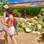 Oaxaca: Traditional Market Private Tour - Artistic Crafting in Teotitlan del Valle Market