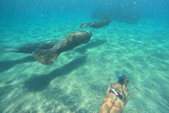 Ocean Ridge Snorkeling and Freediving Activity - Exploring the Reefs and Marine Life Just Off Shore