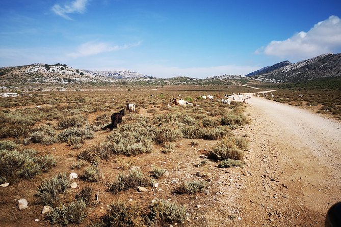 Off-road tour in the Supramonte and visit to Pischina Gurthàddala - Starting Point and Transportation Logistics in Urzulei