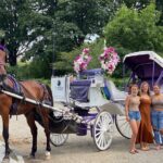 OFFICIAL NYC Central Park Horse Carriage Rides - Inside the Private Horse Carriage Experience