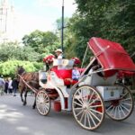 Official NYC Horse Carriage Rides in Central Park since 1979 - Starting Point and Booking Details in Central Park