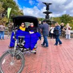 Official Pedicab Tours - Central Park Pedicab Tour: A Relaxing Way to See Iconic Landmarks
