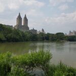 Official VIP Whole Central Park Horse Carriage Tour - Central Park South Meeting Point and Departure Details