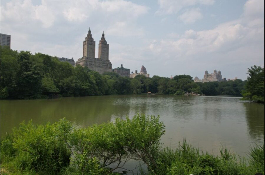 Official VIP Whole Central Park Horse Carriage Tour - Central Park South Meeting Point and Departure Details