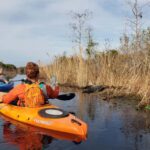 Okefenokee Swamp: Guided Kayak Tour with a Local Naturalist - Starting Point at Suwannee Canal Boat Basin with Convenient Facilities