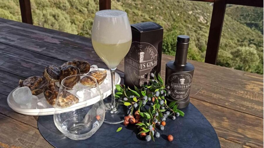 Olbia: visit a gin-making factory with tasting - Exploring Myrtle Berry Distillation and Production