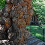 Old Louisvilles Famous Ghosts Smartphone Guided Walking Tour - Starting Point at the Dupont Mansion Bed & Breakfast