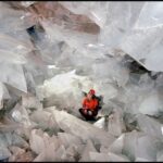 OleoAlmanzora: Guided tour & tasting + Pulpí Geode (6-hours) - Visiting the Olive Grove and Learning About Olive Cultivation