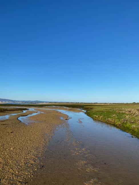 Olhão: Beautiful Exclusive Route: Private Boat Rental with Skipper - The Route and Islands You Will Visit