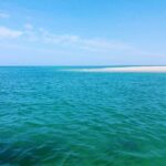 Olhão: Private Boat Tour to Ria Formosa - Starting Point at Olhão: Cais T and Sabino Boat Tours