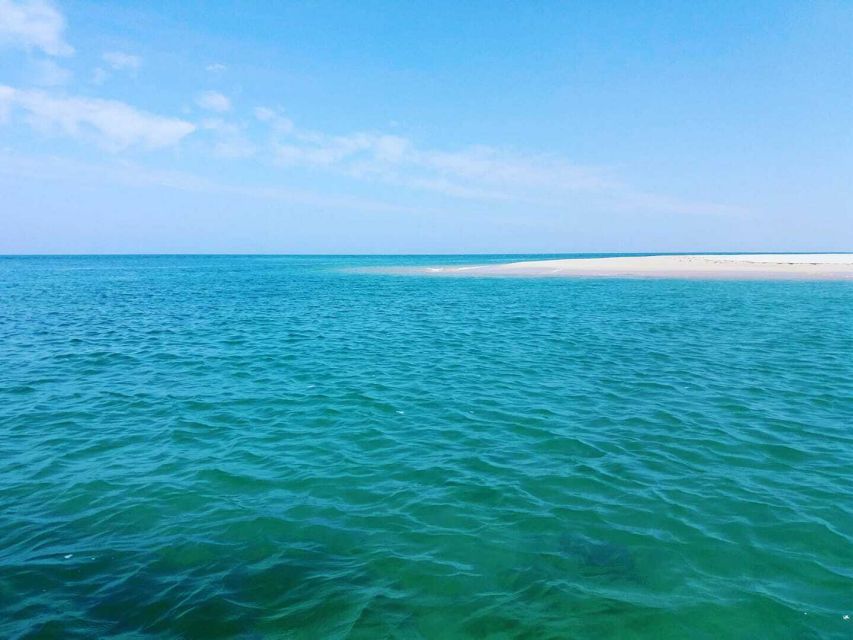 Olhão: Private Boat Tour to Ria Formosa - Starting Point at Olhão: Cais T and Sabino Boat Tours