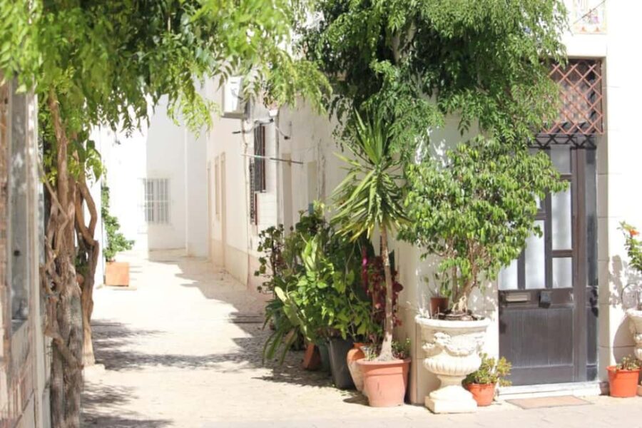 Olhão & the Enchanted Legends / Lenda Encantado - Exploring Olhão Market and the Mooring of Bom Sucesso