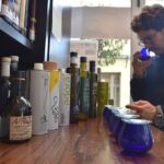 Olicatessen Olive Oil Tasting in Thessaloniki - The Olive Oil Selection: Six Regional Varieties